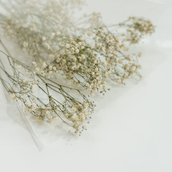 Fijne droogbloemen, een geliefd materiaal bij M-Designs